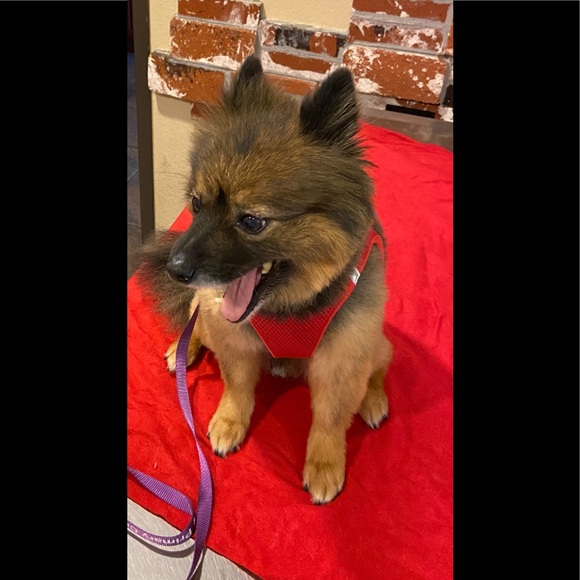 Meet your Posher, Mazhar - Picture 3 of 3